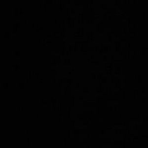 Meet your Posher, Esmeralda